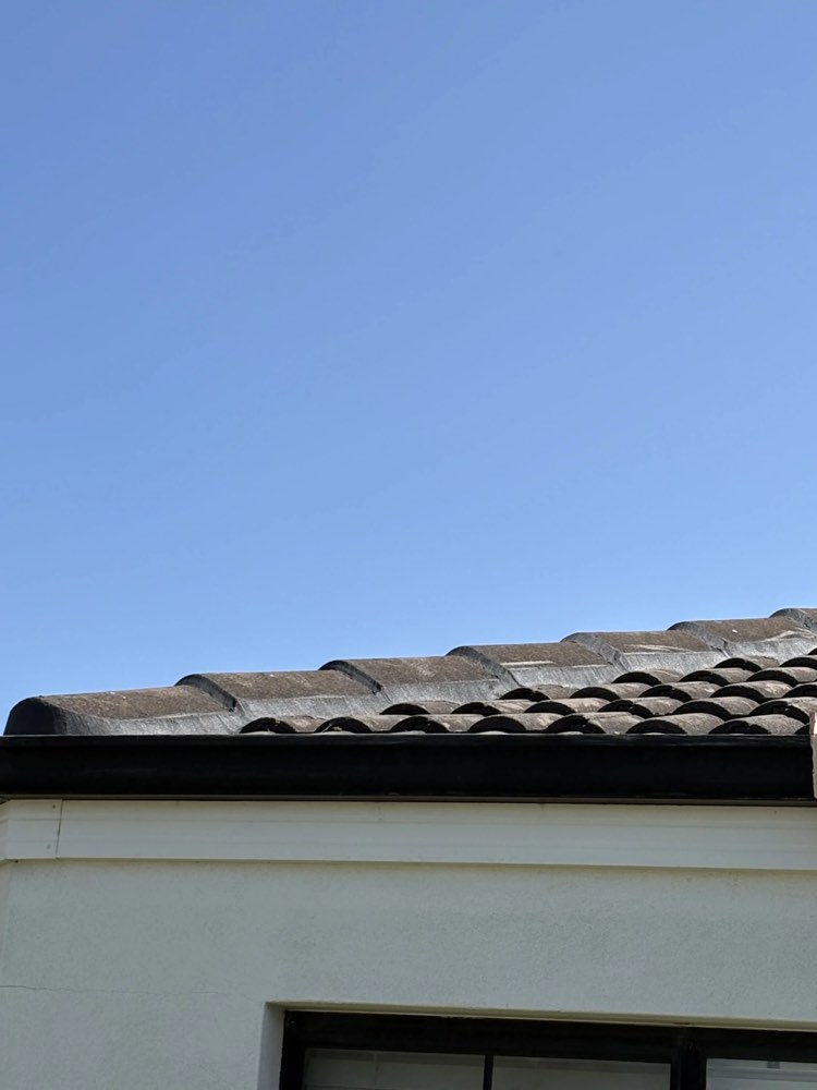 Ridge line rebedded
