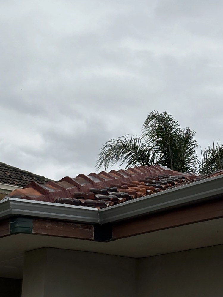 Fresh flexible pointing applied along a ridge