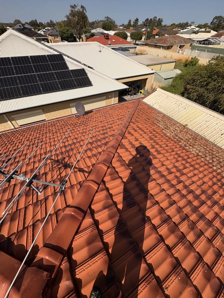 Terracotta tile roof after work